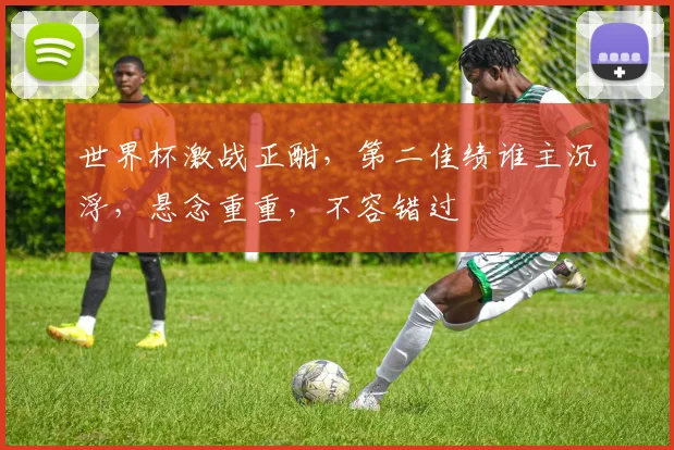 世界杯激战正酣，第二佳绩谁主沉浮，悬念重重，不容错过