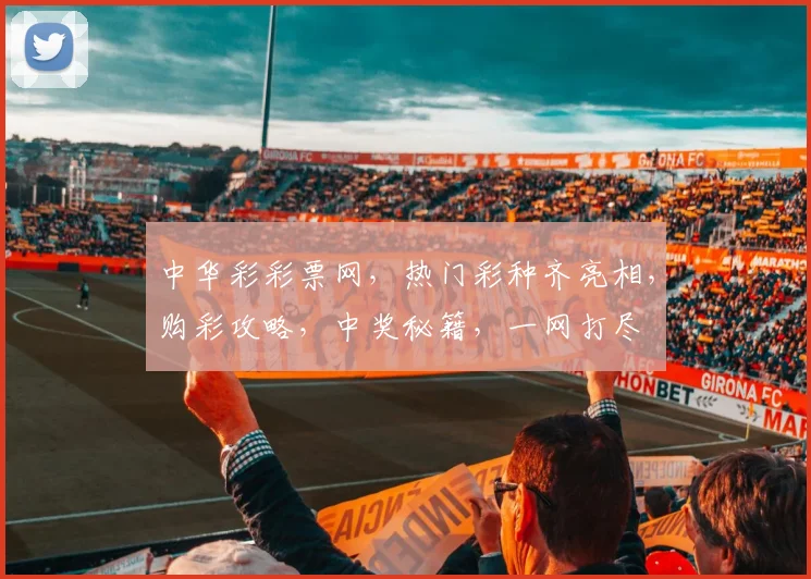 中华彩彩票网，热门彩种齐亮相，购彩攻略，中奖秘籍，一网打尽